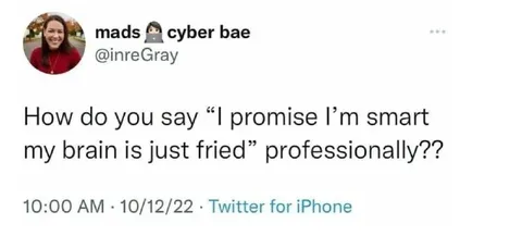 Professionally Brain-Fried