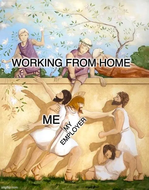 Working From Home Chaos
