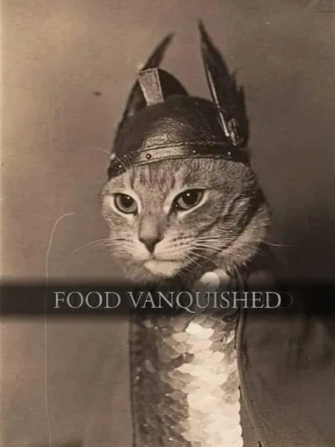 Food Vanquished Cat