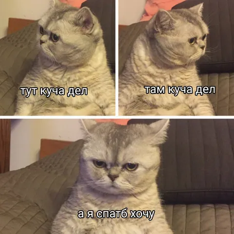 Куча дел, а я спать хочу