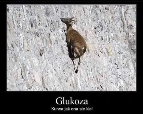Glukoza klei się do ściany