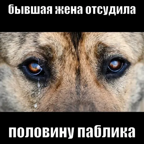 Бывшая жена отсудила половину паблика