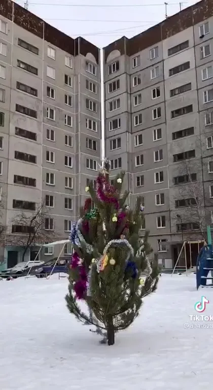 Зимняя жизнь как она есть