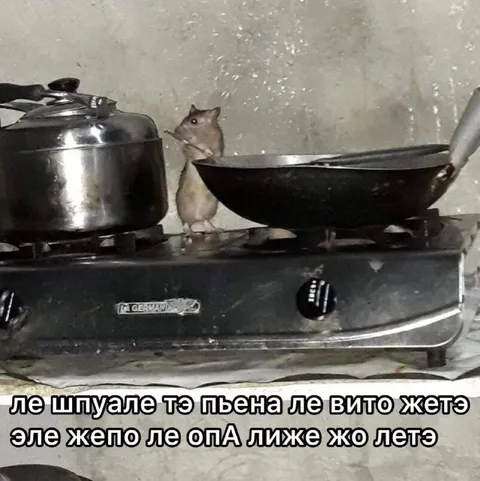 Крыса готовит на плите