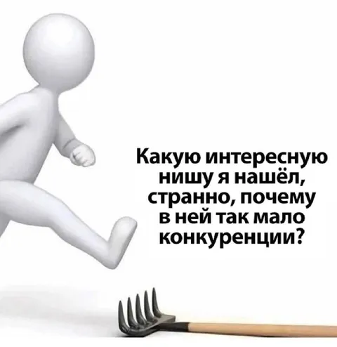 Интересная ниша без конкуренции