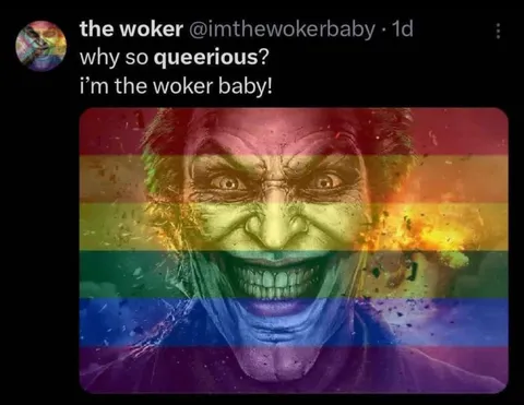 Why So Queerious Joker