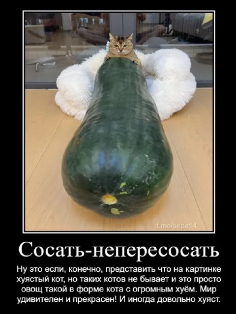 Сосать-непересосать