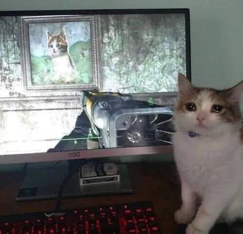 Грустный кот у компьютера
