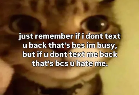 Busy Cat Double Standard