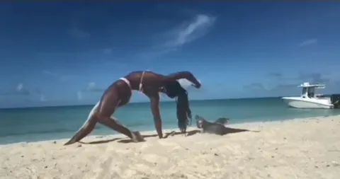 Йога на пляже и любопытная ящерица
