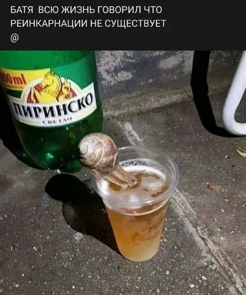 Батя ошибался насчёт реинкарнации