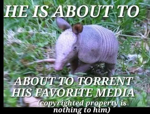 Armadillo About to Torrent