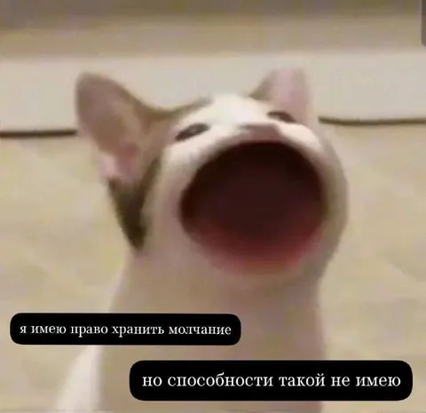 Право хранить молчание