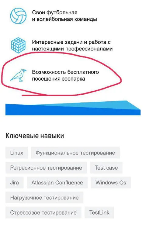 Бесплатный зоопарк в вакансии