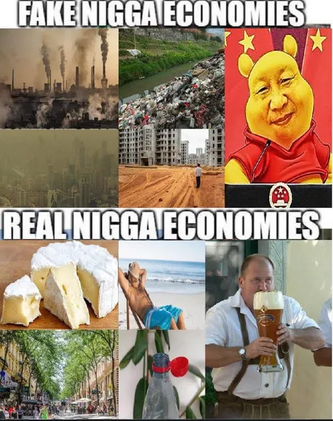 Fake Nigga Economies vs Real Nigga Economies