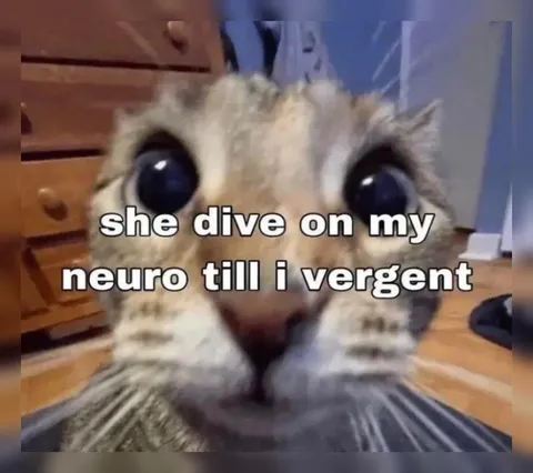 She Dive on My Neuro