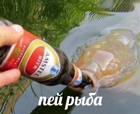Пей, рыба