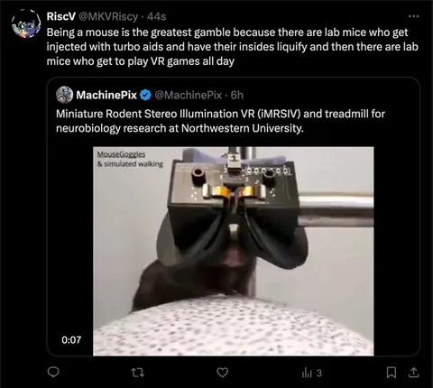 Mouse Gets the Good Lab Life