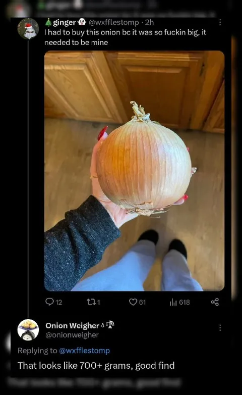 Massive Onion Good Find