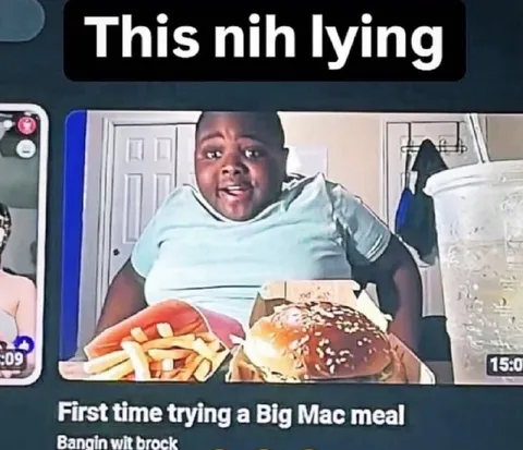 This Nih Lying About Big Mac