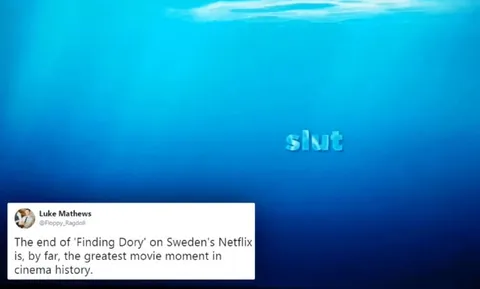 Finding Dory Sweden Netflix Joke