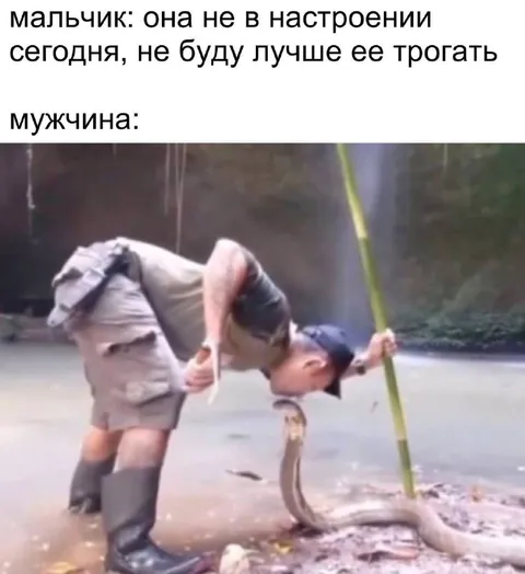 Мужчина трогает змею