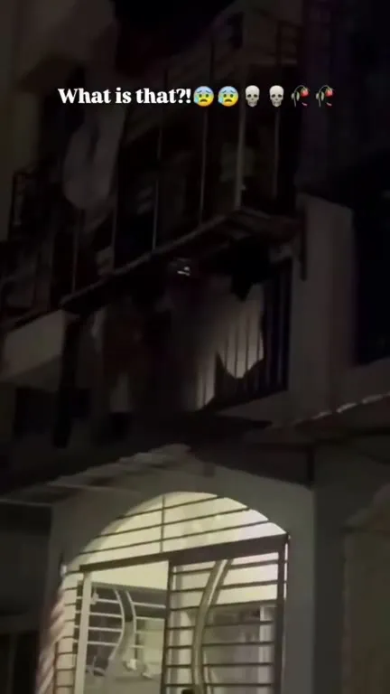 What Is That Behind the Bars?