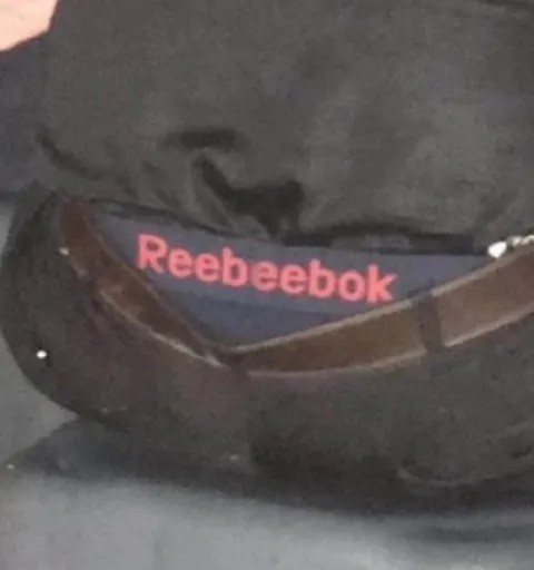 Rebeebook Logo Parody