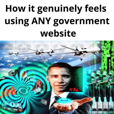 Government Website Experience