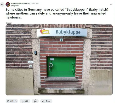 German Baby Hatch Oven Door