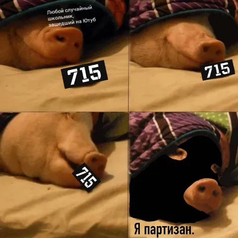 Школьник на Ютубе и партизан