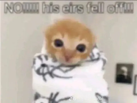 His Eirs Fell Off