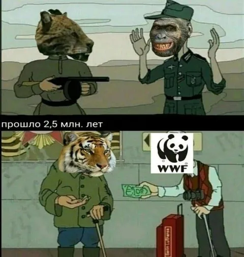 Прошло 2,5 млн. лет