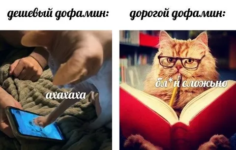 Дешёвый и дорогой дофамин