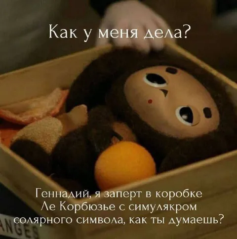 Геннадий в коробке