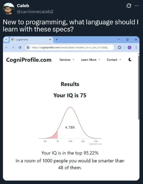 IQ 75 programming language