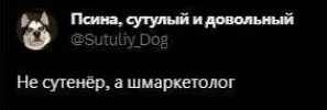 Не сутенёр, а шмаркетолог