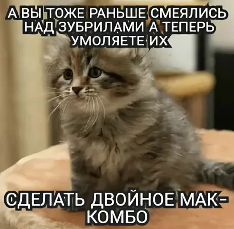 Кот умоляет сделать маккомбо