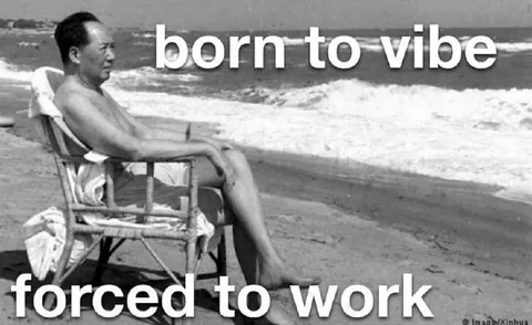 Born to Vibe, Forced to Work
