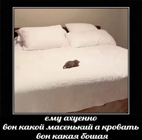 Маленькая мышь на большой кровати