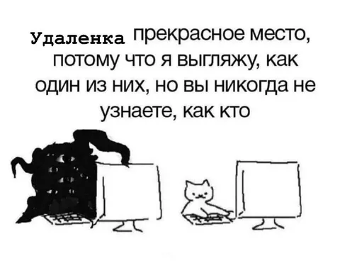 Удаленка среди мониторов