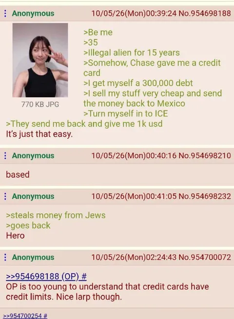 Illegal Alien Credit Card Plan