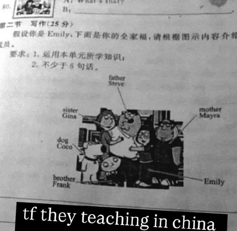 他们在中国教什么