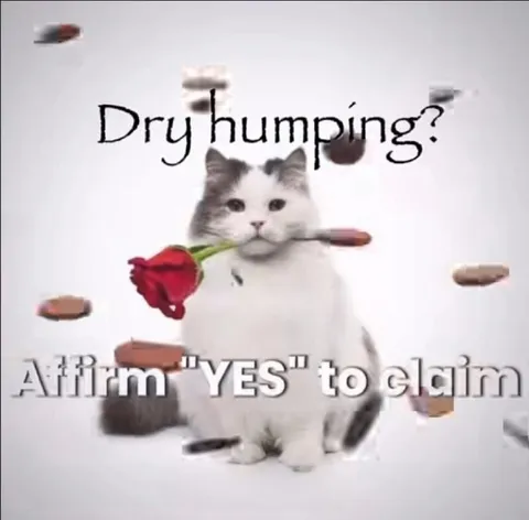 Dry Humping Cat