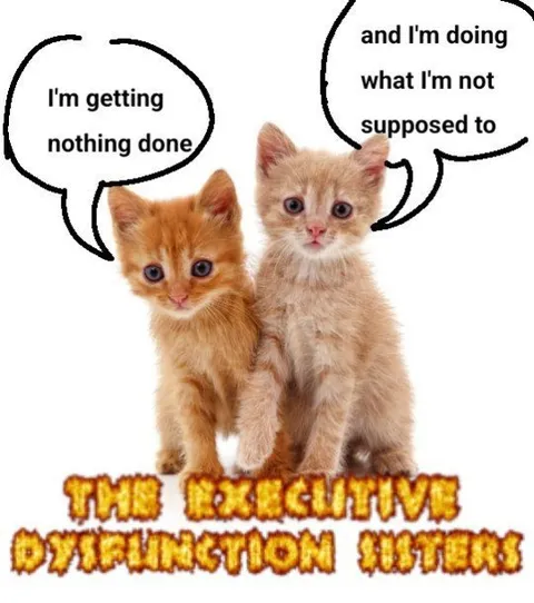 Executive Dysfunction Sisters