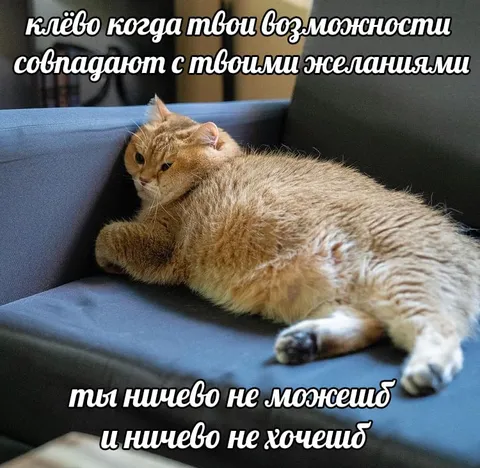 Когда возможности совпали с желаниями