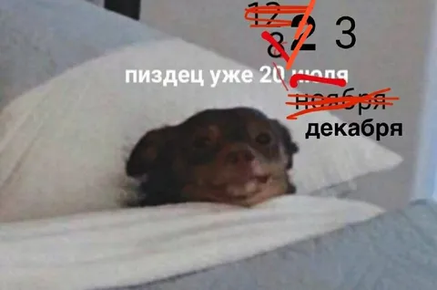 Пиздец уже 20 июня