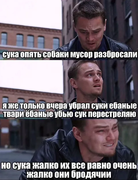 Лео жалеет бездомных собак