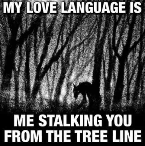 My Love Language Is Stalking