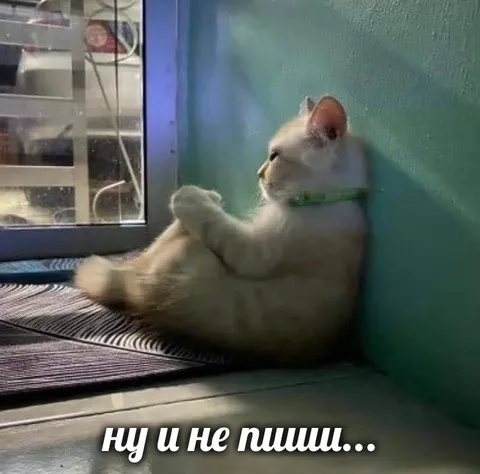 Ну и не пиши